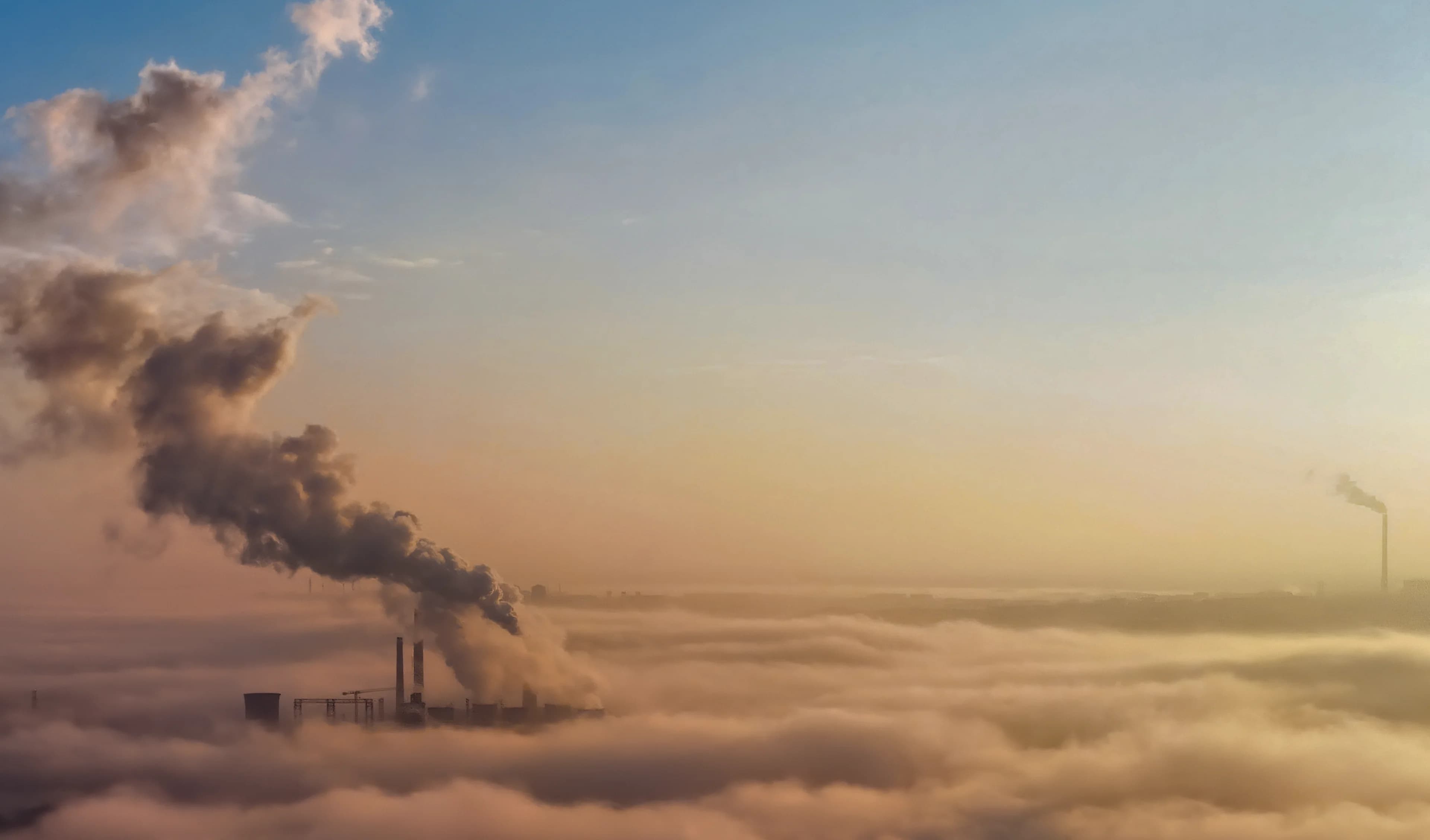 Industrial facility with carbon capture