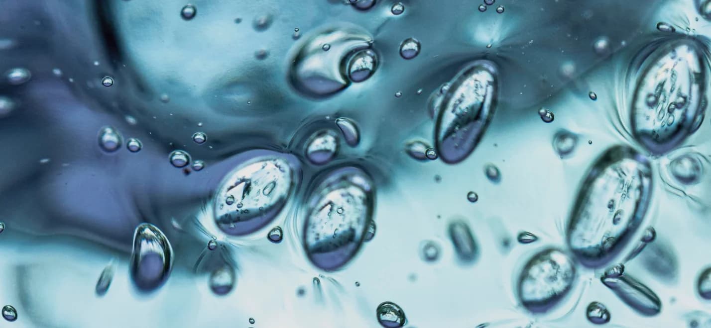 Highest mineralisation