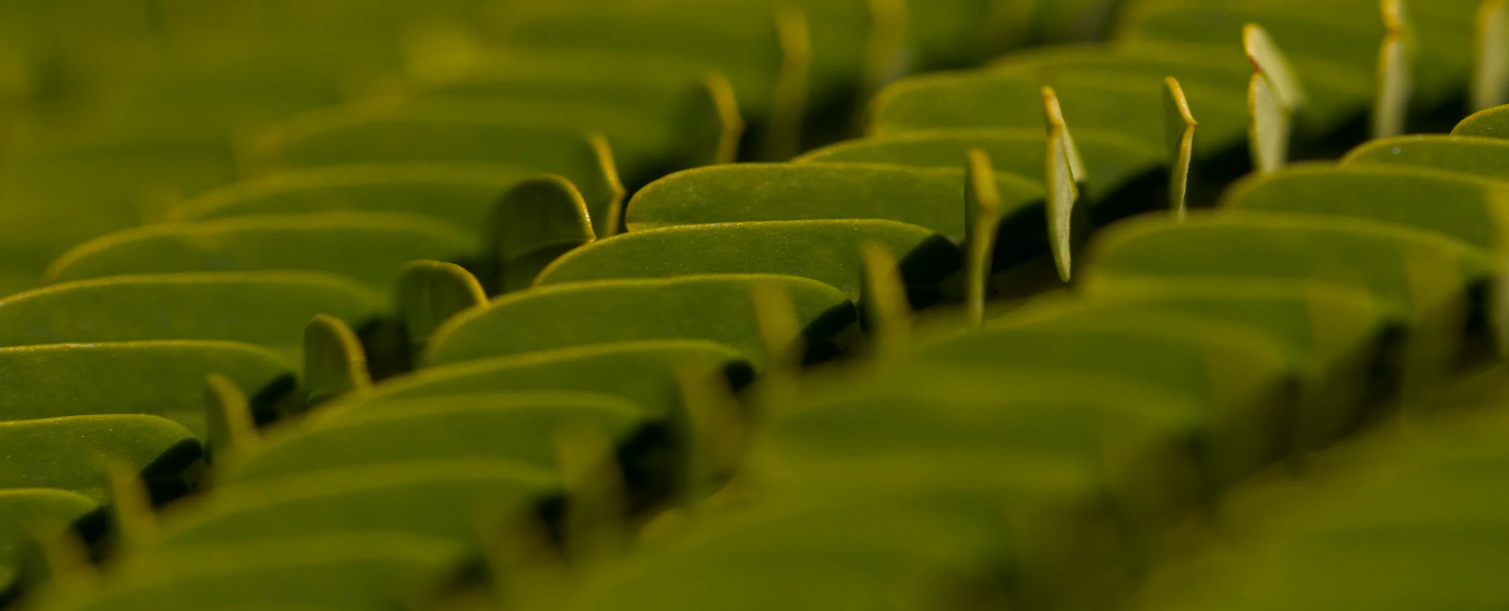 Get started with Vateris SOP